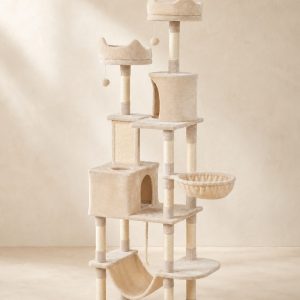 Arbre trio refuge Atlas — photographie Costa Alma