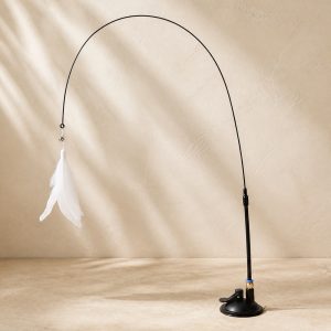 Canne à plume Ventouse — photographie Costa Alma